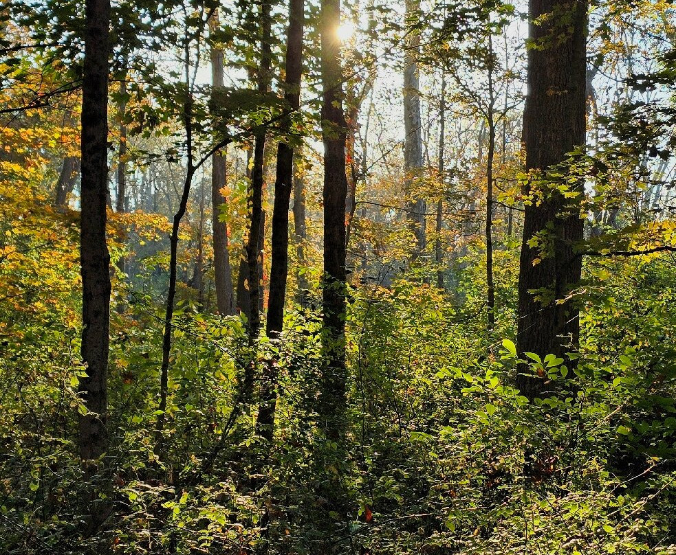 Tyler State Park-Newtown必去景点