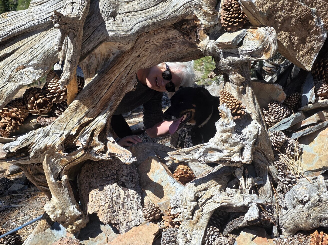 魔鬼岩柱堆国家历史纪念地-马姆莫斯湖必去景点