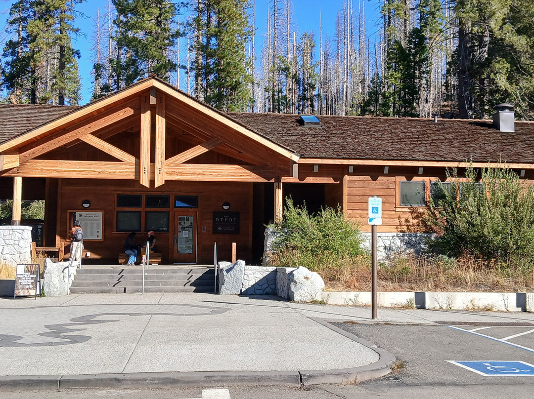 Mariposa Grove of Giant Sequoias-优胜美地国家公园必去景点