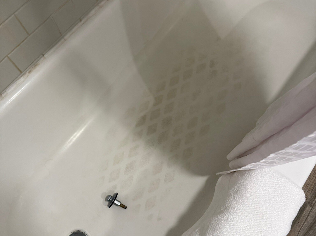 Homewood Suites by Hilton Boston-Peabody主图