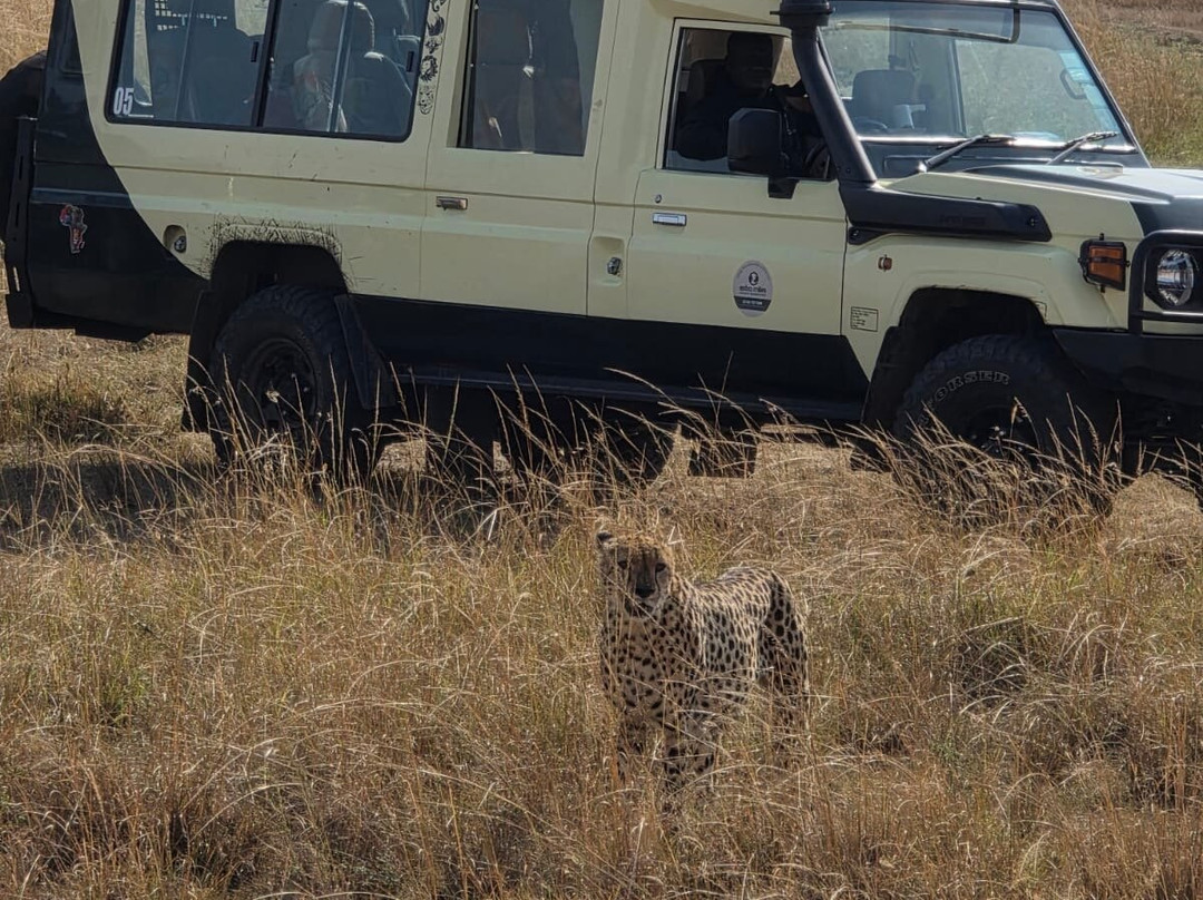 Extra Miles Unique Adventures-Sekenani必去景点