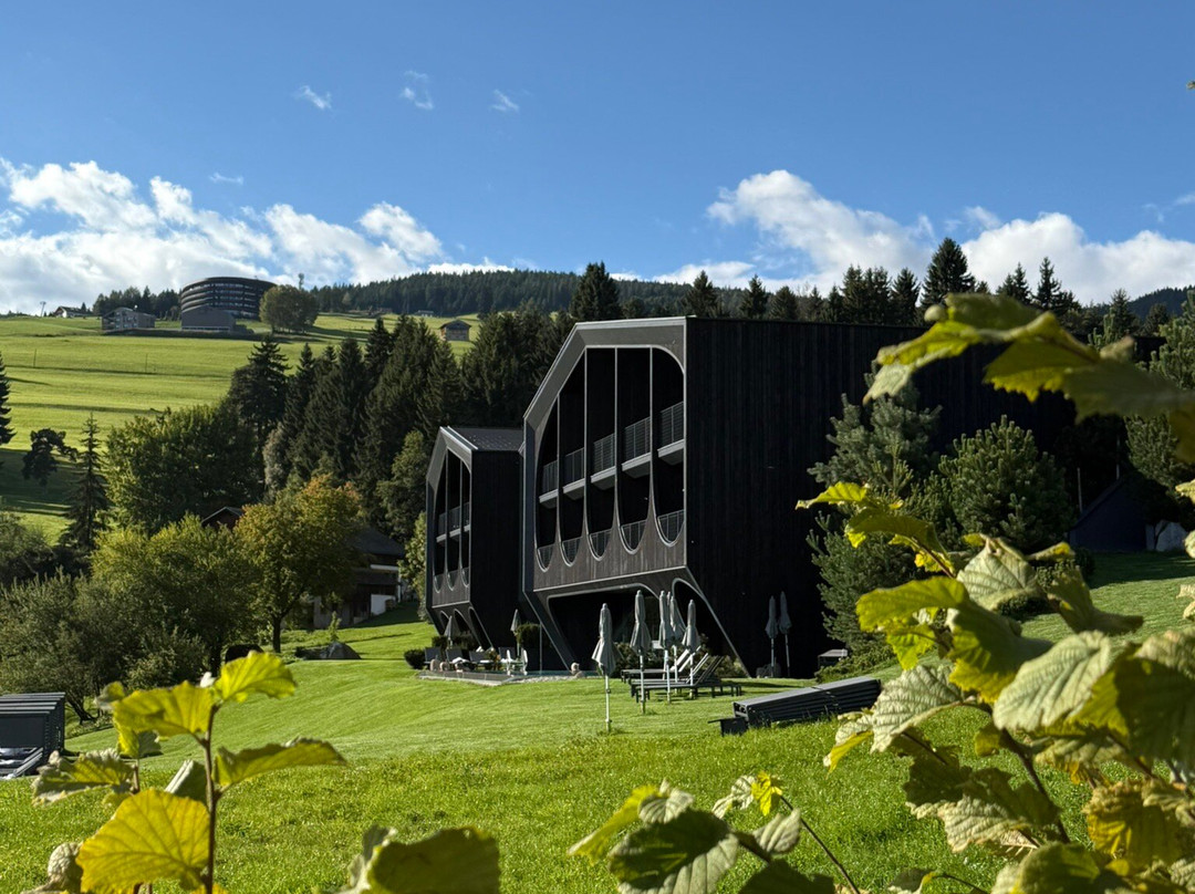 Hotel Milla Montis主图