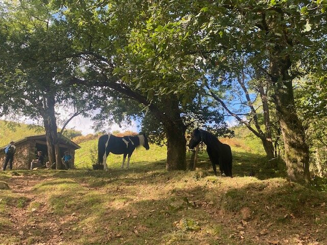 Pyrenean Experience-Ituren必去景点
