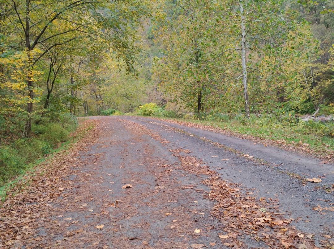 Ole Covered Wagon Tours-Wellsboro必去景点