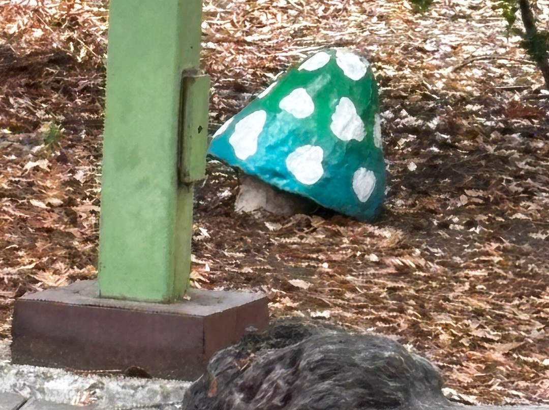 Children's Fairyland-奥克兰必去景点