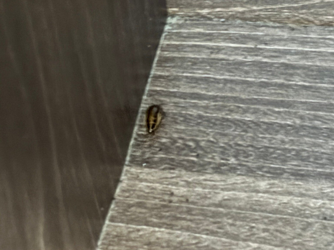 Hillary Hanoi Hotel主图