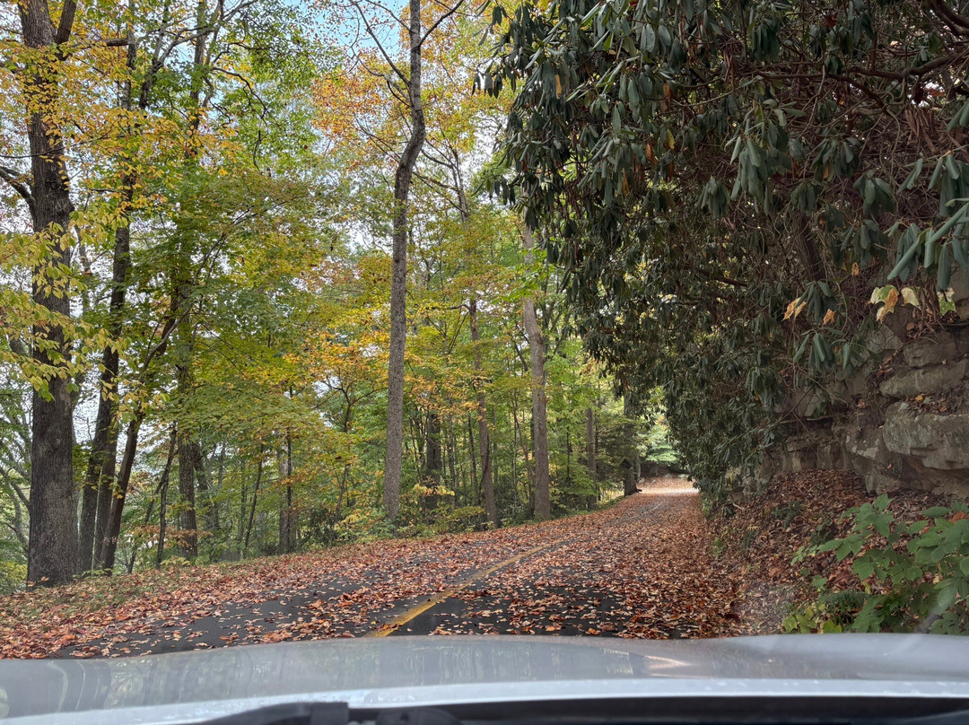 Turkey Spur Overlook-Beaver必去景点