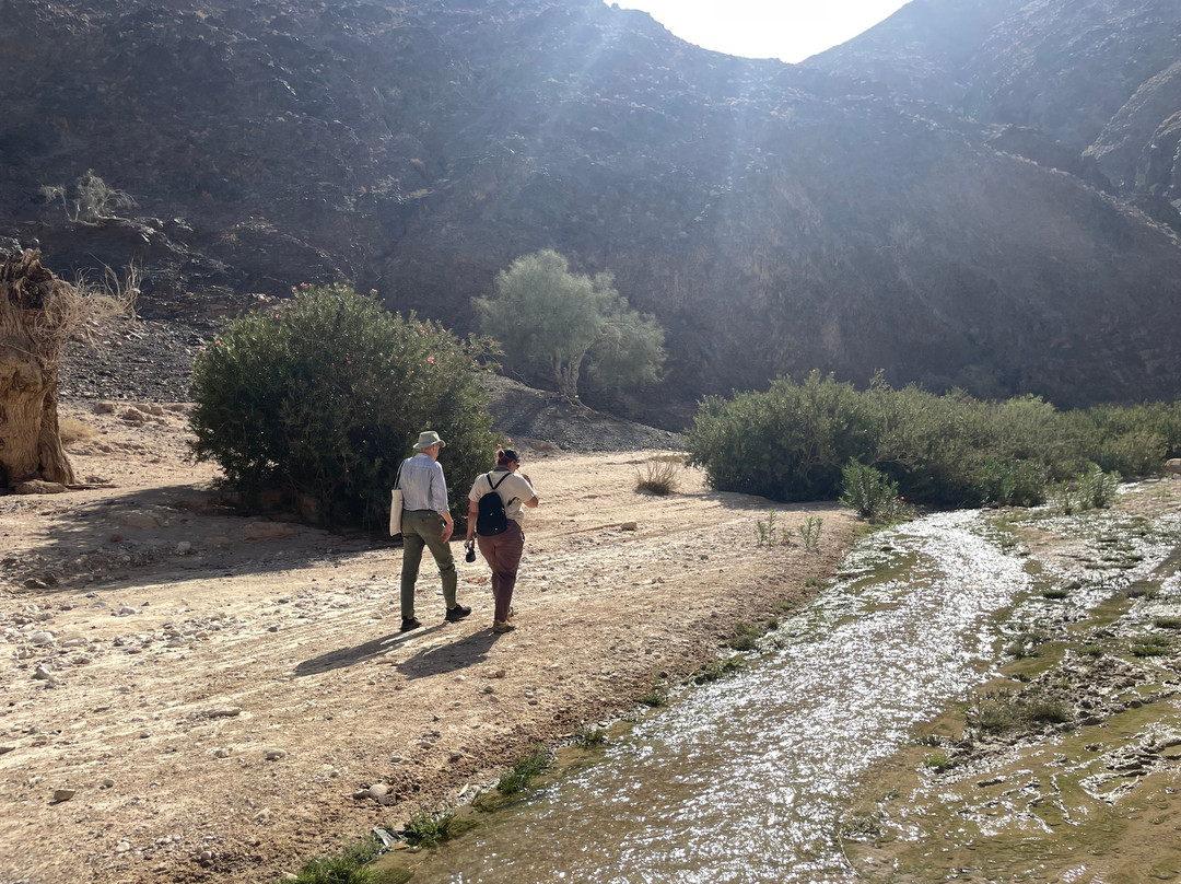 Jordan Trail Adventures-Dana必去景点