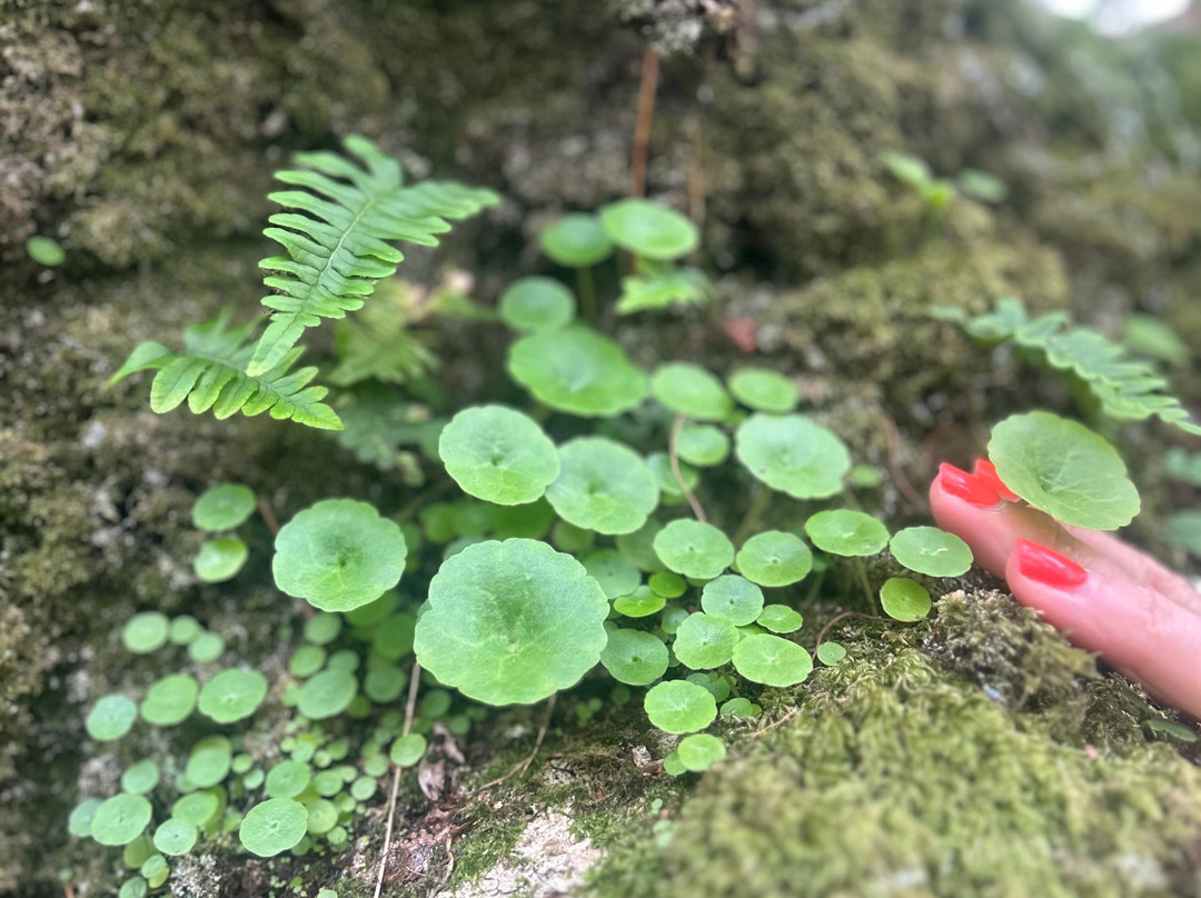 Forage Pembrokeshire-哈弗福韦斯特必去景点