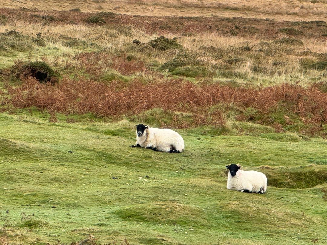 Geri Skeens Moorland Guide-Chagford必去景点