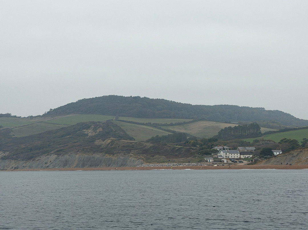 Lyme Bay Rib Charter-West Bay必去景点