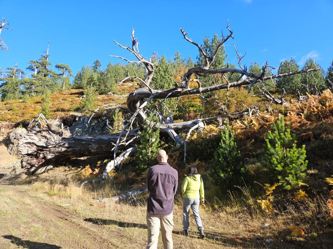 TREKKING HELLAS-Kranea必去景点