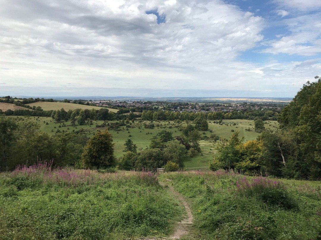 Tring Park-Tring必去景点