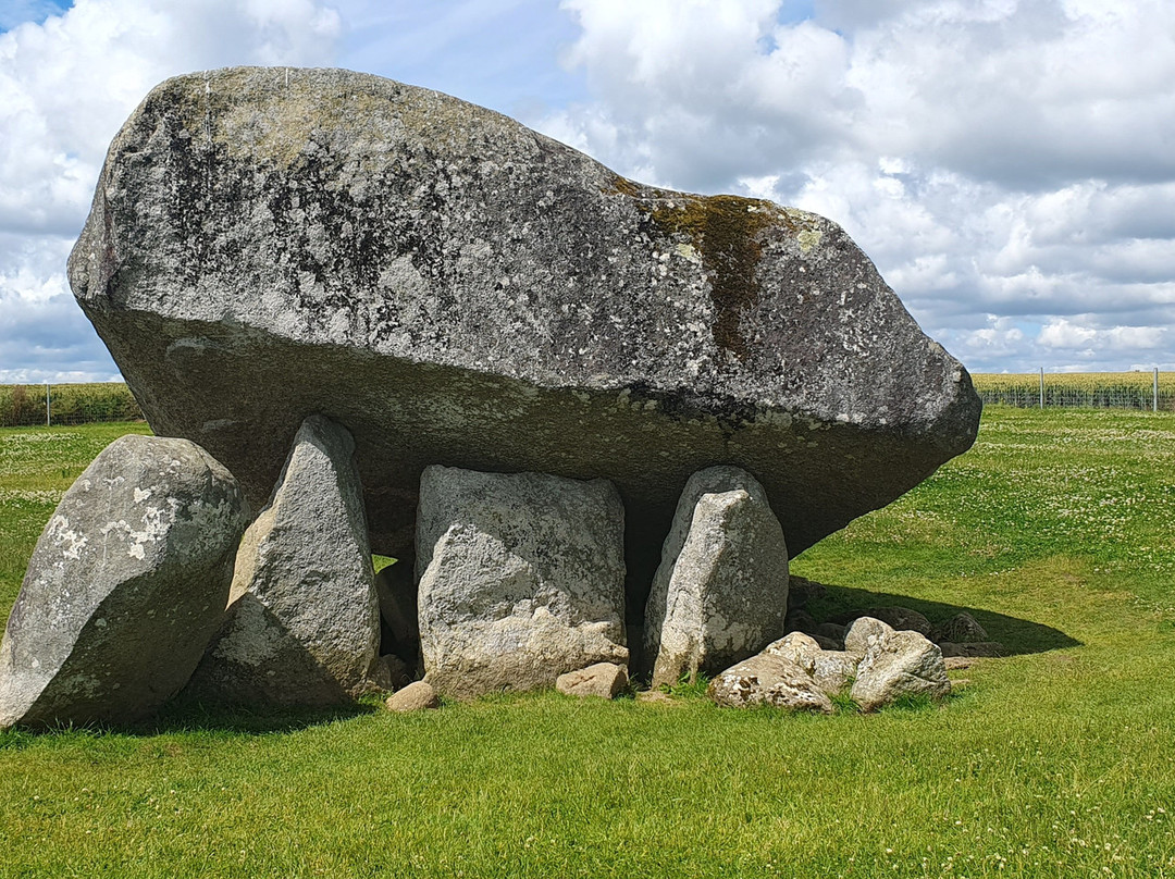Brownshill Dolmen-Carlow必去景点