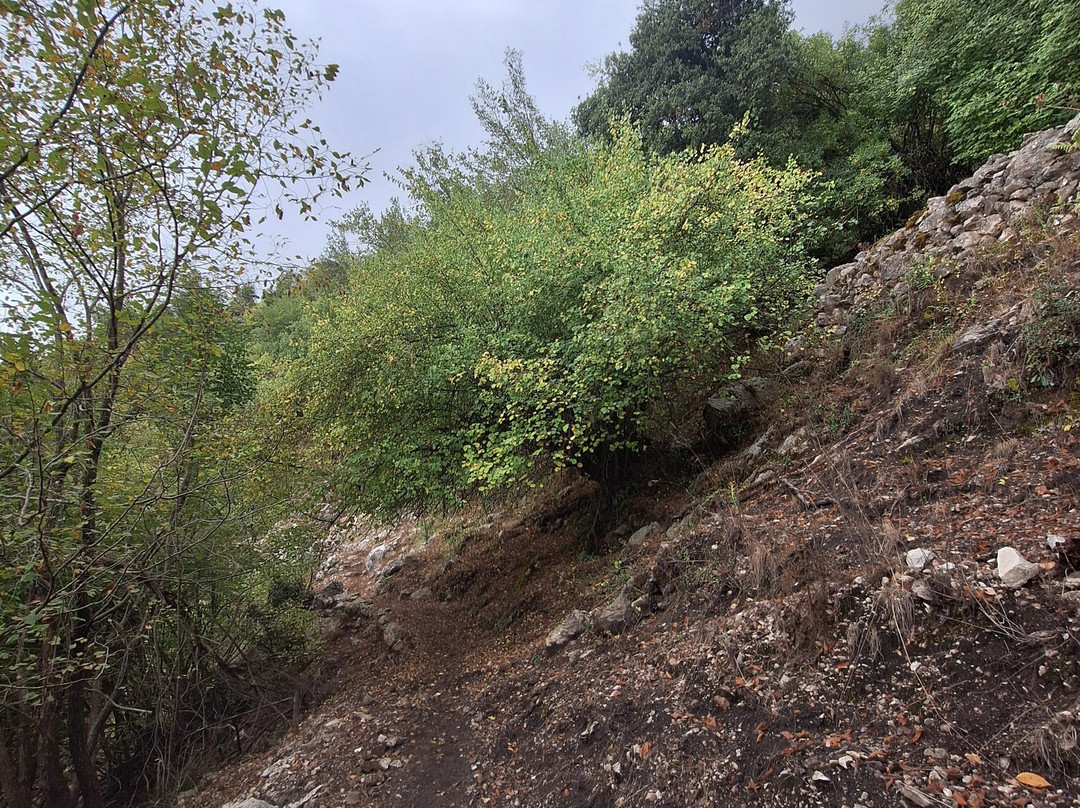 Jabal Moussa Biosphere Reserve-Keserwan District必去景点