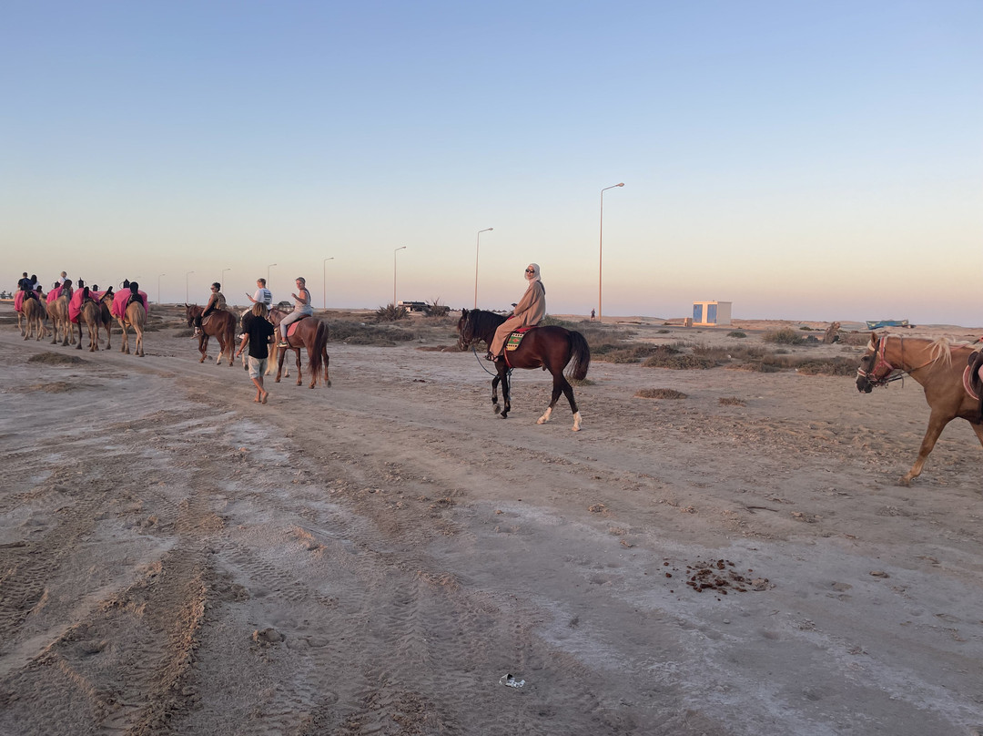 Ennakhil de tourisme Djerba-米栋必去景点