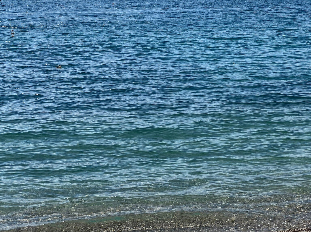 Angela Beach Hotel & Apts主图