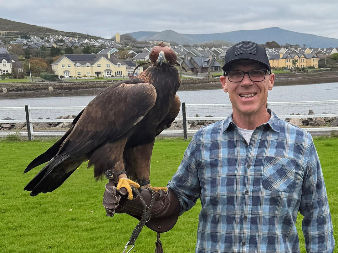 Kingdom Falconry - Dingle-丁格尔必去景点