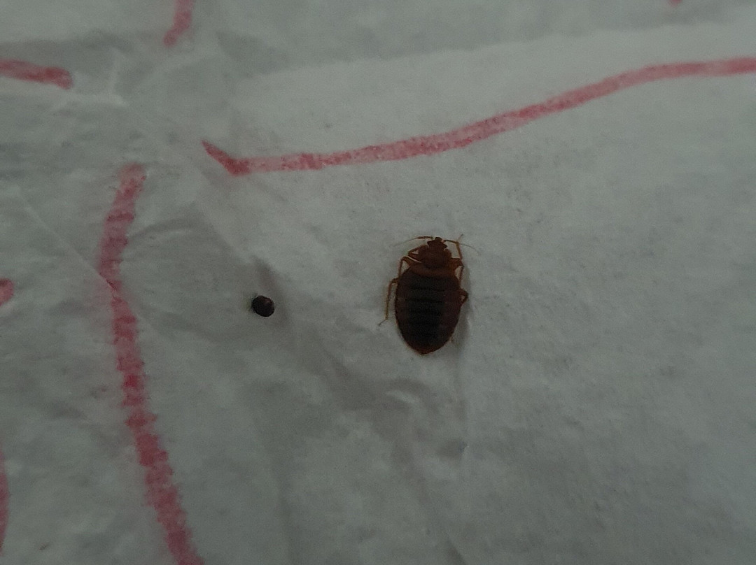 Hotel Liberty 2主图