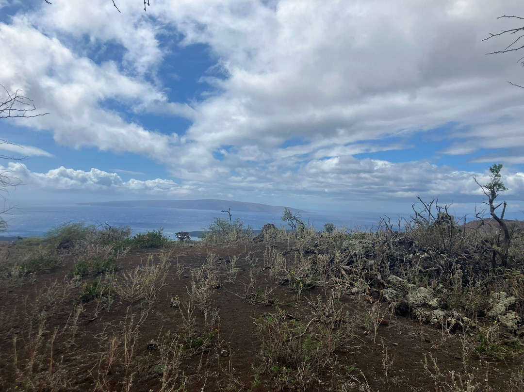 Triple L Ranch Horseback Tours-库拉必去景点