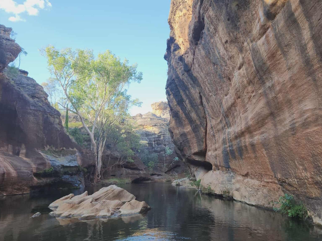 Savannahlander-凯恩斯必去景点