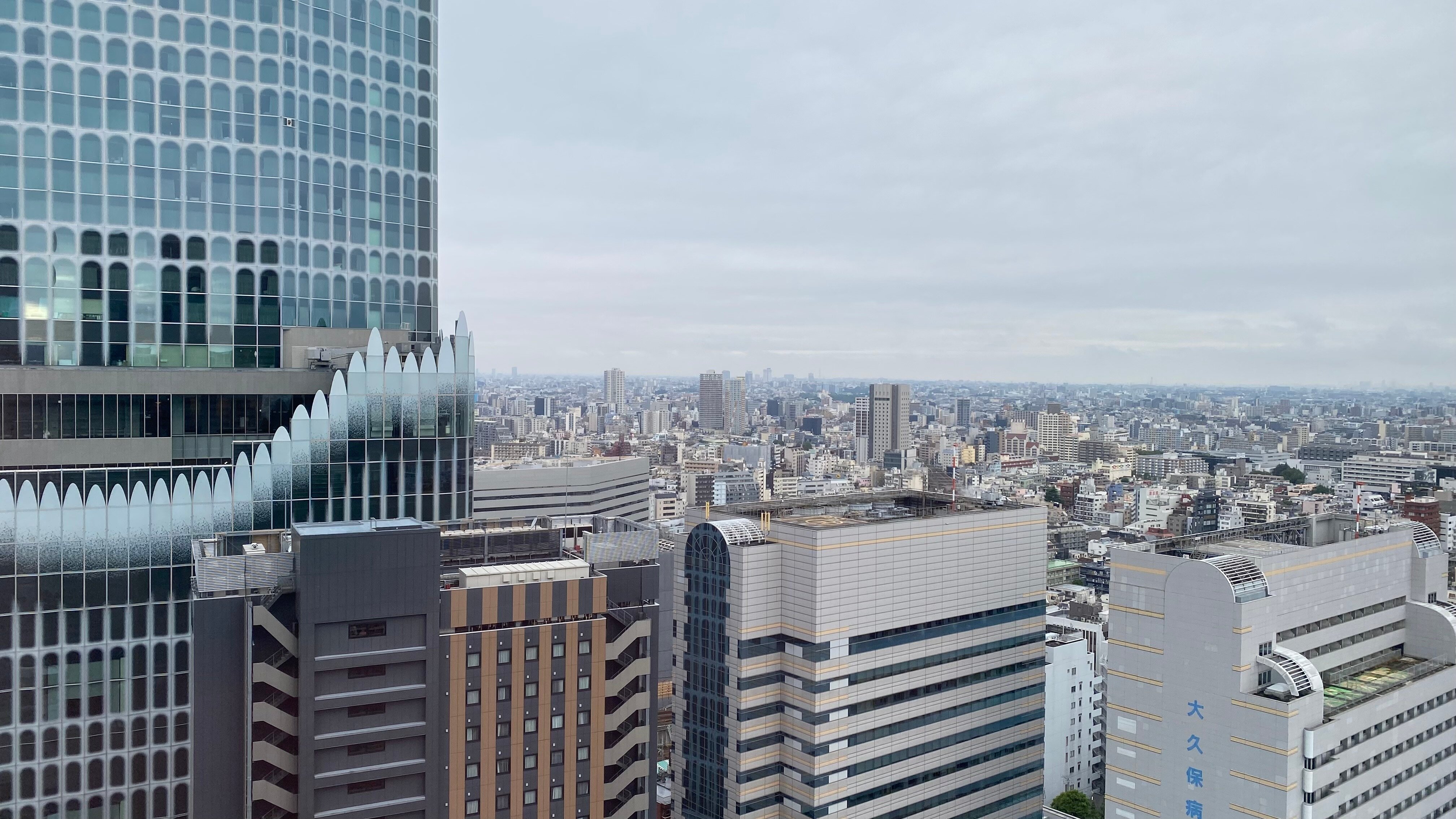 格拉斯丽新宿酒店-酒店景观