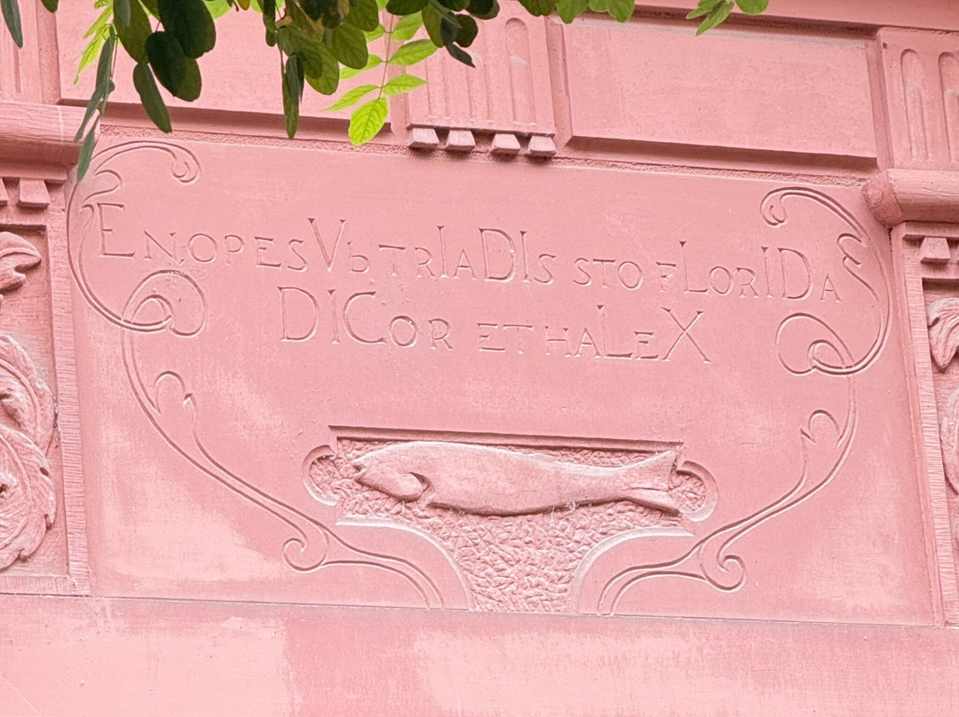 Best Of Mainz | Stadtführungen & Mehr-美因茨必去景点