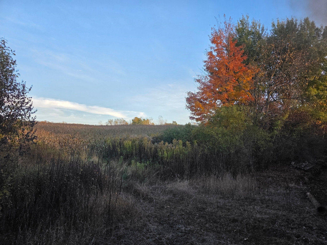 Arcade and Attica Railroad-Arcade必去景点