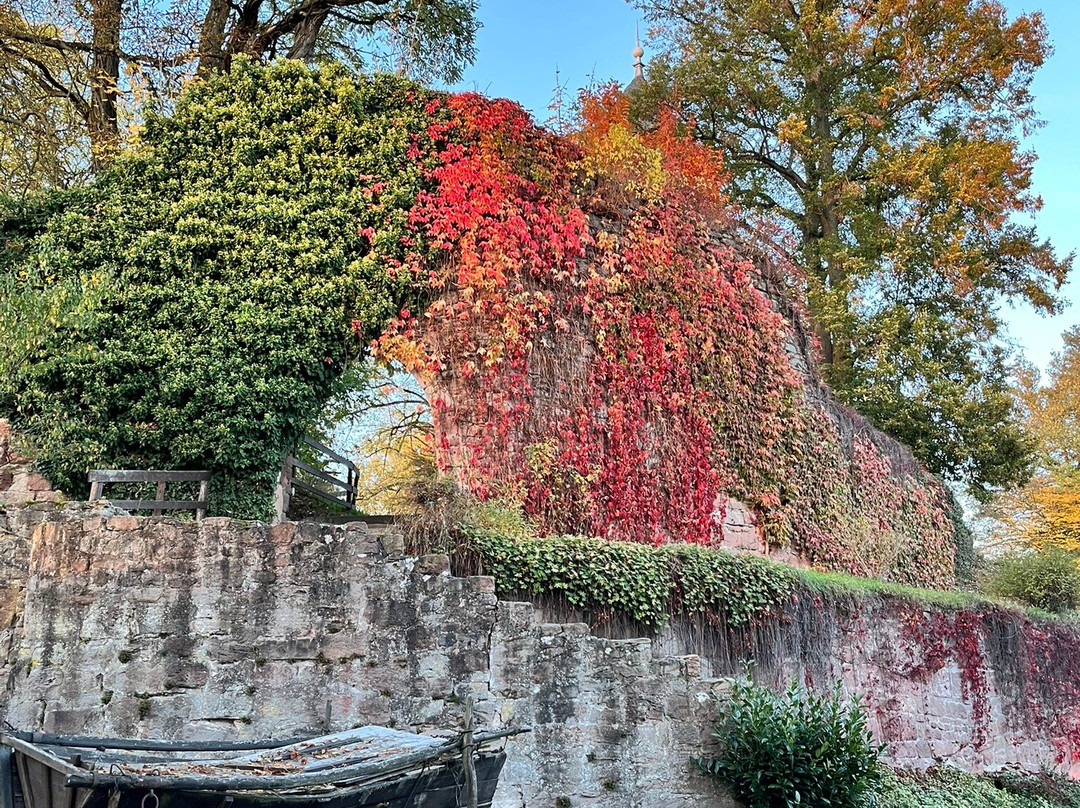 Burg Maienluft主图