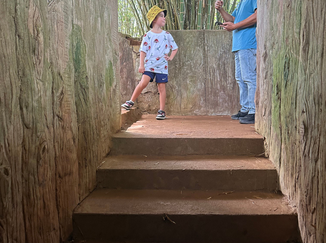 Annam Tour-Dong Ha必去景点