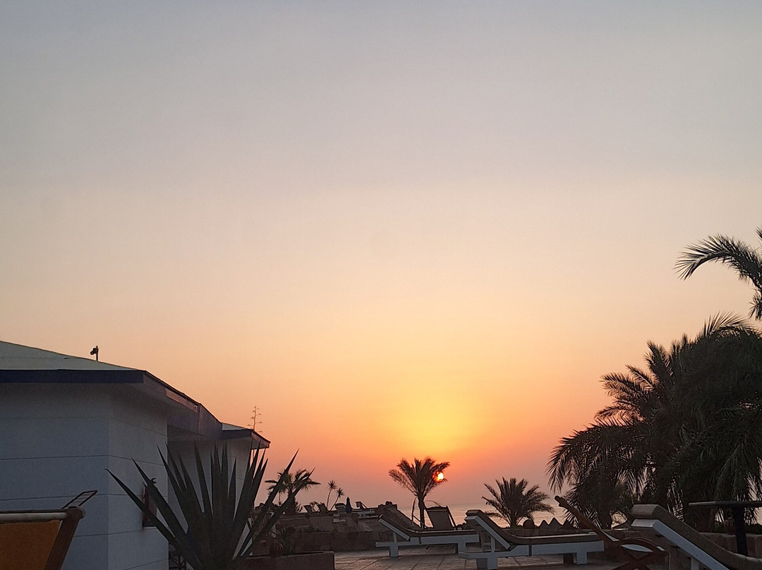 ORCA Dive Club Coral Garden-Safaga必去景点