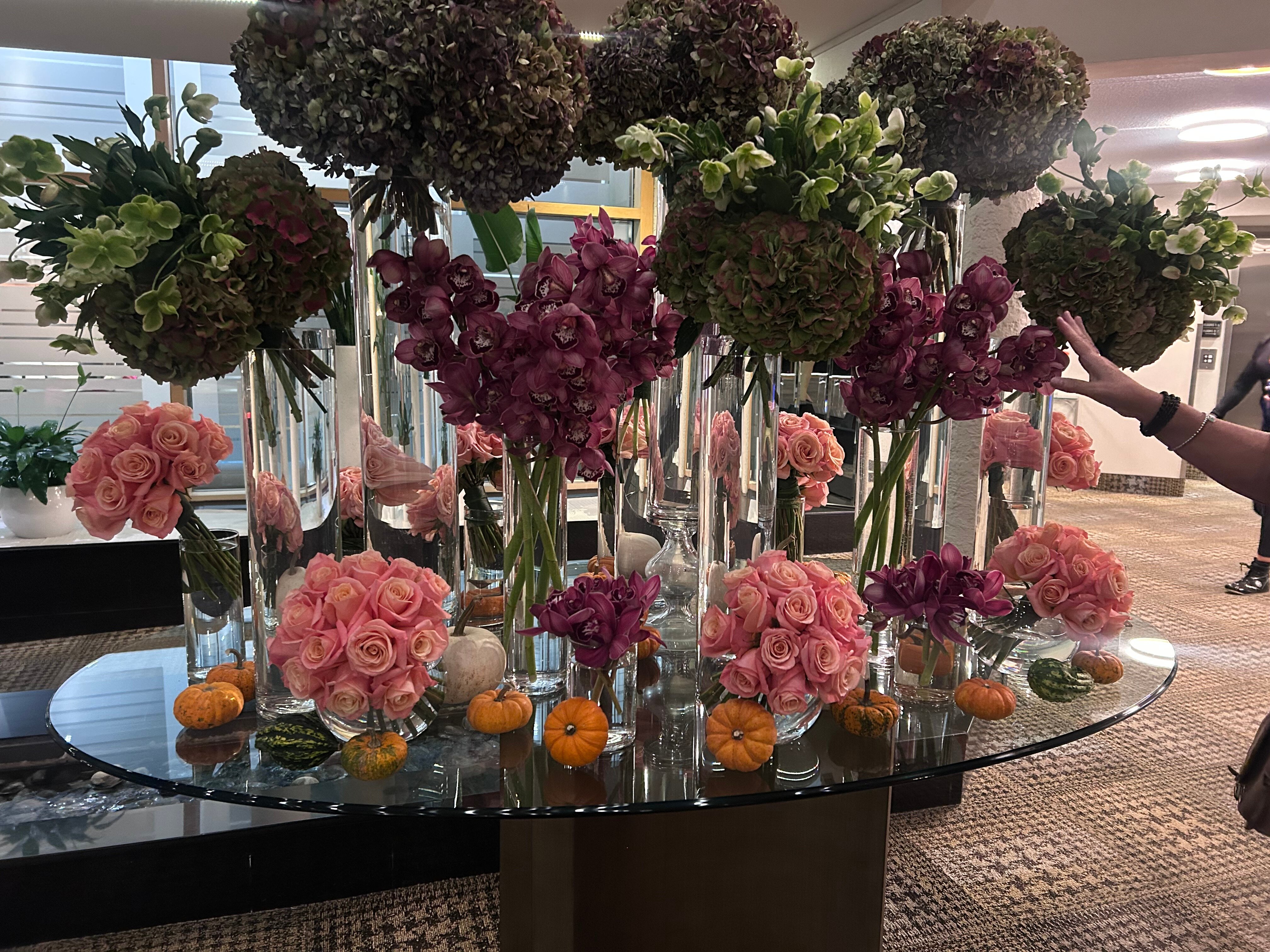 White Oaks Resort & Spa-官方