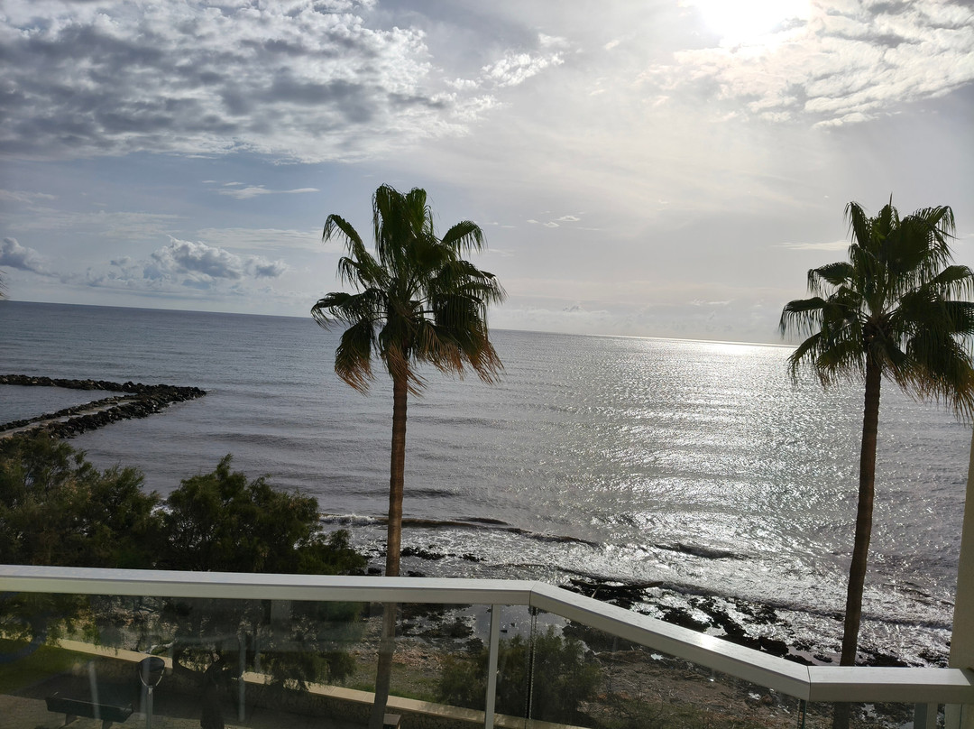 Protur Alicia Hotel主图