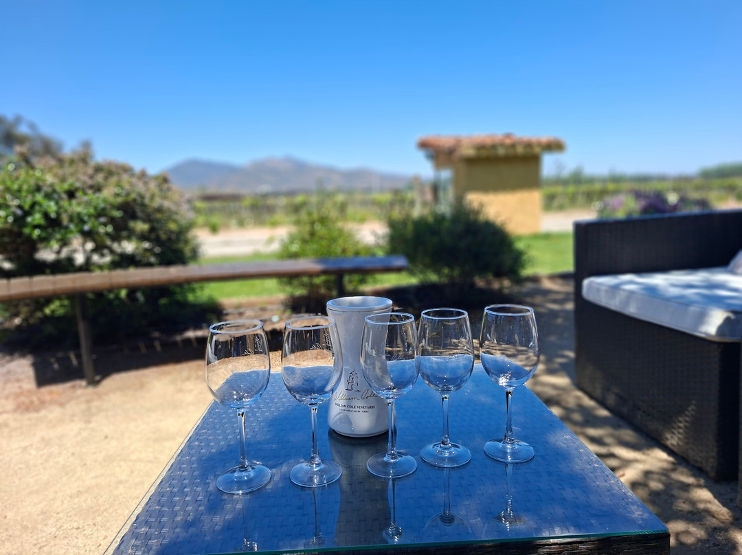 William Cole Vineyards-卡萨布兰卡必去景点