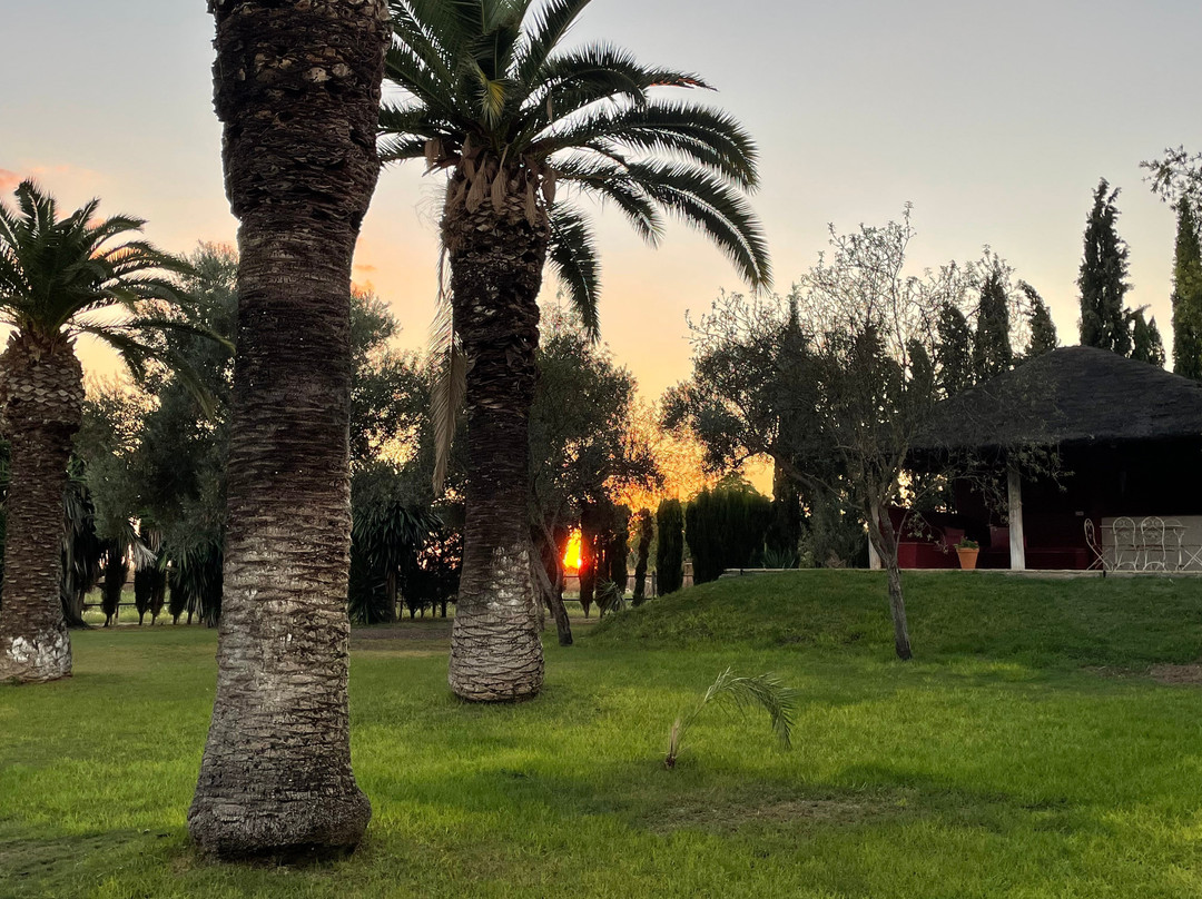 Hacienda La Indiana主图