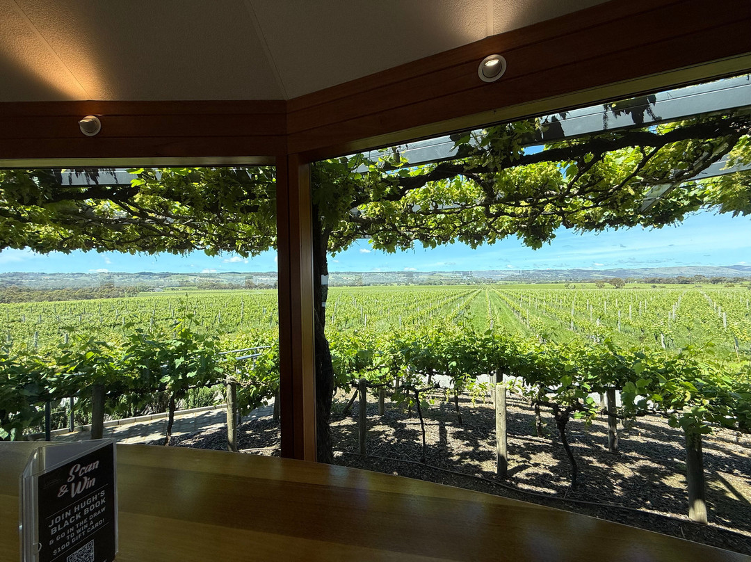 Hugh Hamilton Wines-麦克拉伦谷必去景点