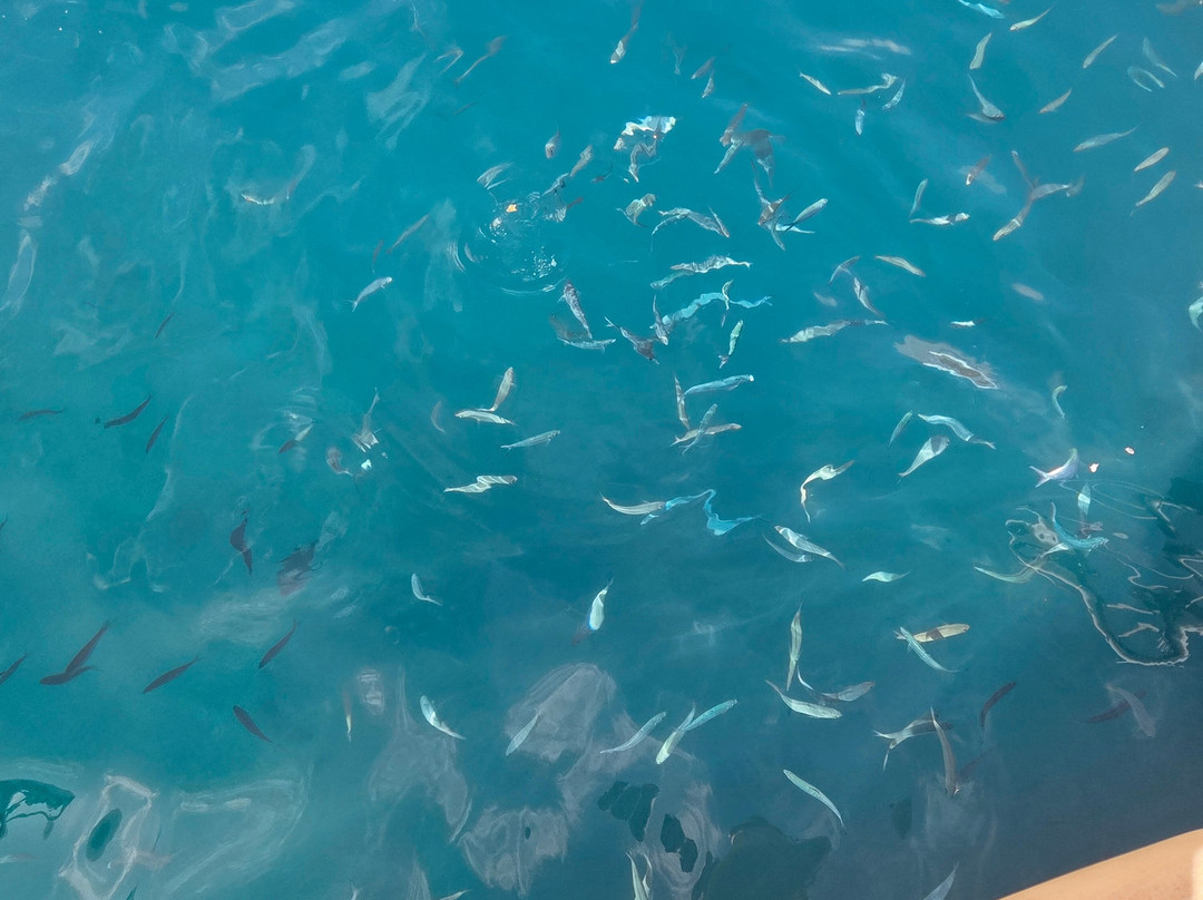 Obycat Experience-Caleta de Fuste必去景点