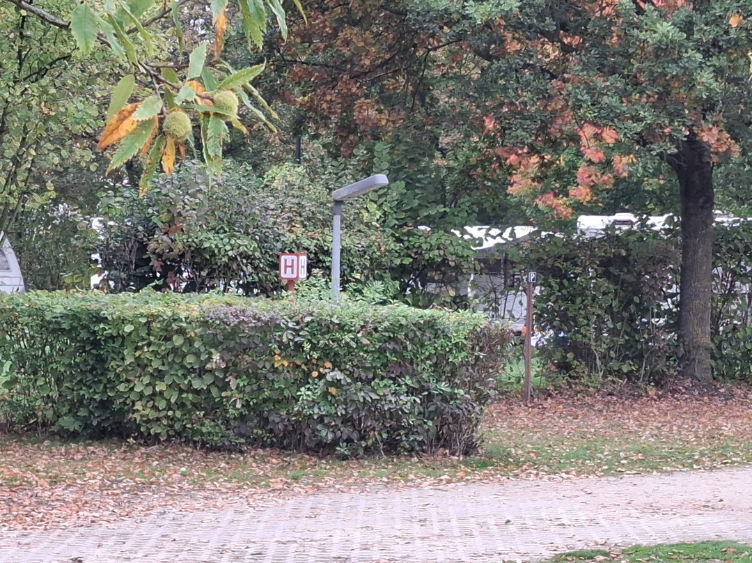 巴斯赫露营地