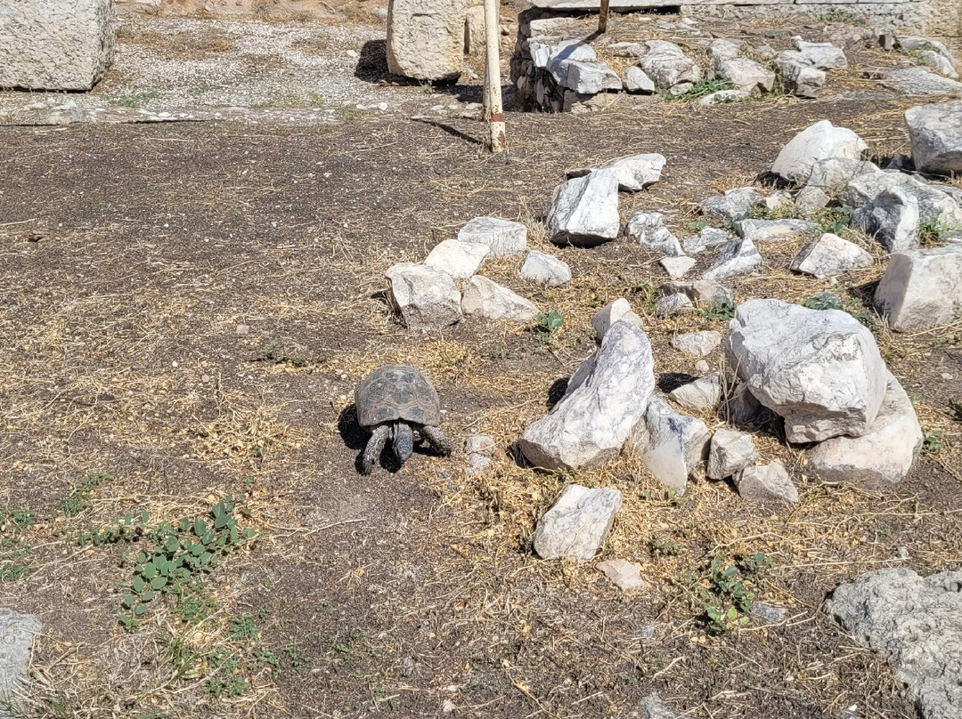 Hadrian's Library-雅典必去景点