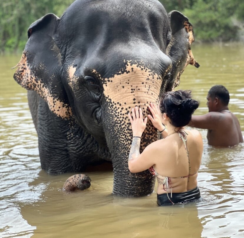 The Lake Phuket Elephant Home-Thep Krasatti必去景点