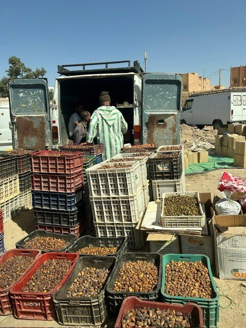 Merzouga Morocco Tours-瓦尔扎扎特必去景点