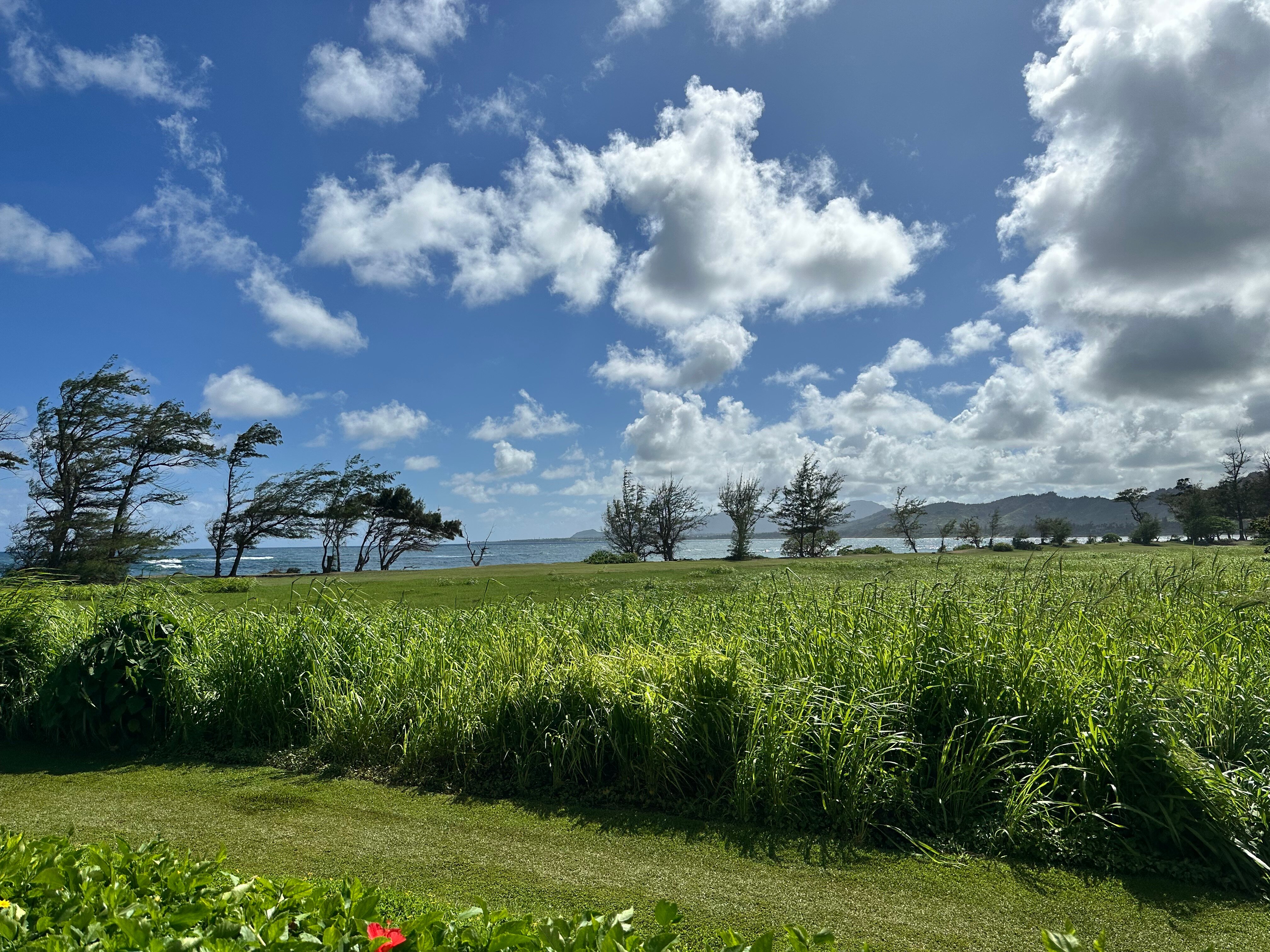 Sheraton Kauai Coconut Beach Resort-浴室
