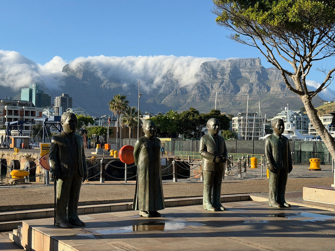 Rhino Africa Safaris-开普敦中心区必去景点