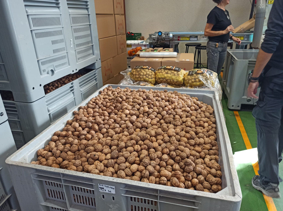 Cooperativa De Viver-Viver必去景点