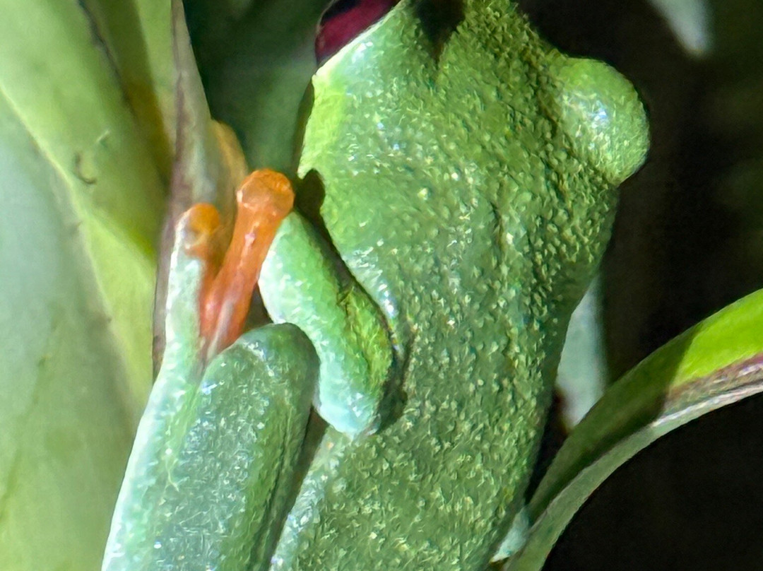 Manuel Tour Guide-卡维塔必去景点