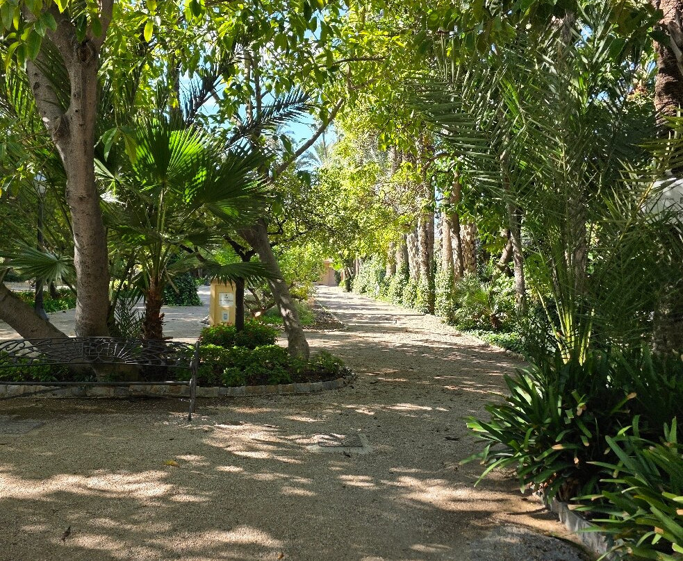 Parque Municipal-埃尔切必去景点