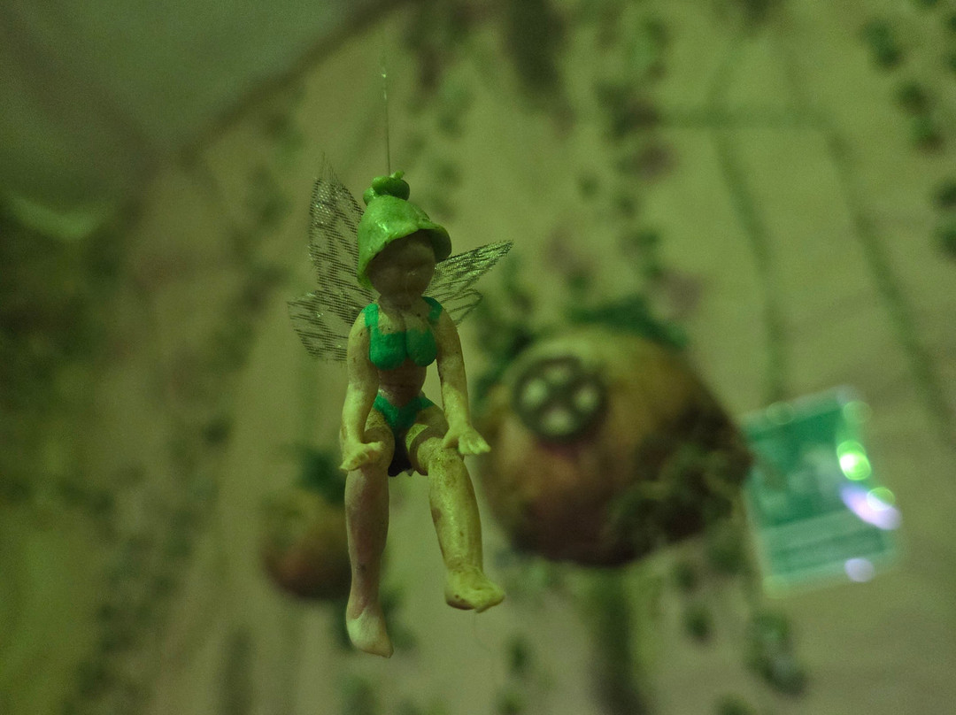 Goz Duendes-华斯卡德奥坎波必去景点