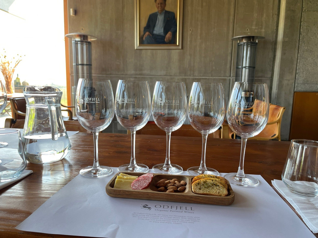 Odfjell Vineyards-Padre Hurtado必去景点