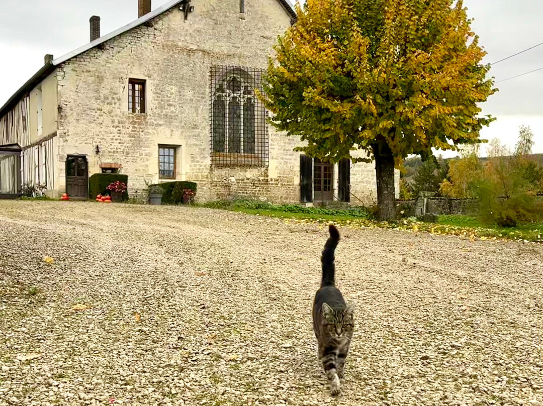 Champagne Monial-Colombe-le-Sec必去景点