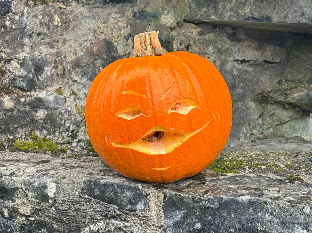 Aughnanure Castle-Oughterard必去景点